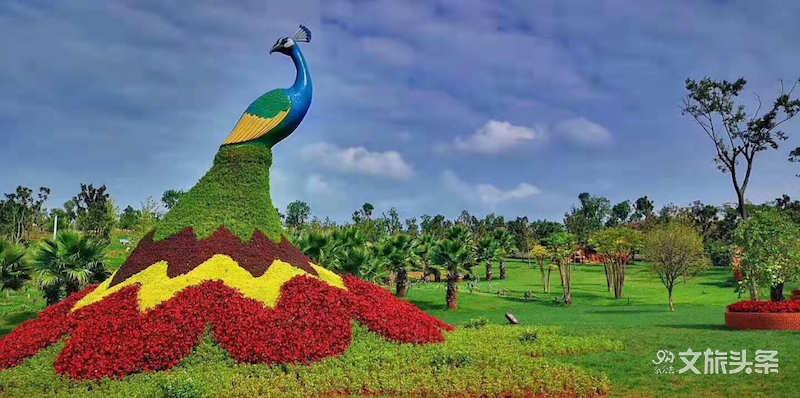 弥勒|马云近日现身昆明、弥勒、腾冲、西双版纳！拍照，打卡，要干嘛？