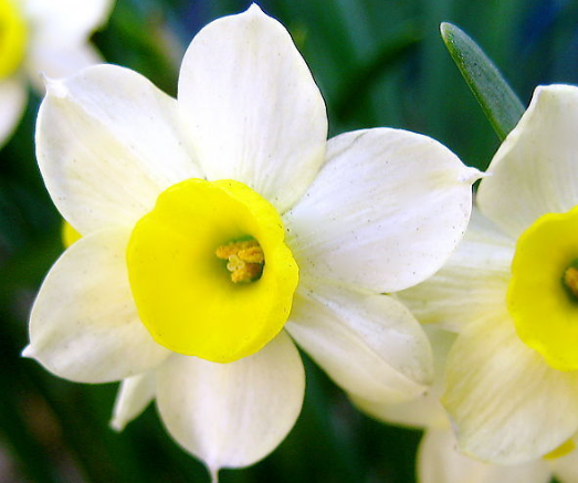 运势|下个月开始，4属相运势开门红，福气满满，财运旺旺，日子红火