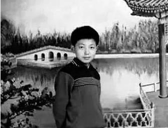 「撒贝宁」央视里潜伏13年,从法律专家到“纵火犯”,北大撒贝宁的多幅面孔