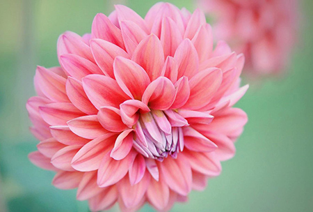 「水瓶座」2020下半年,喜上眉梢,好运相随的三个星座