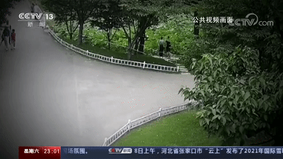 江苏新闻|偷摘玄武湖并蒂莲游客否认违法：就是公园一朵要败掉的花