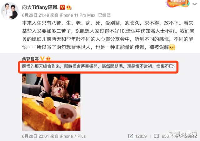 豪门|还没领证的郭碧婷生了个女儿？！长公主们的豪门路真的太难了……