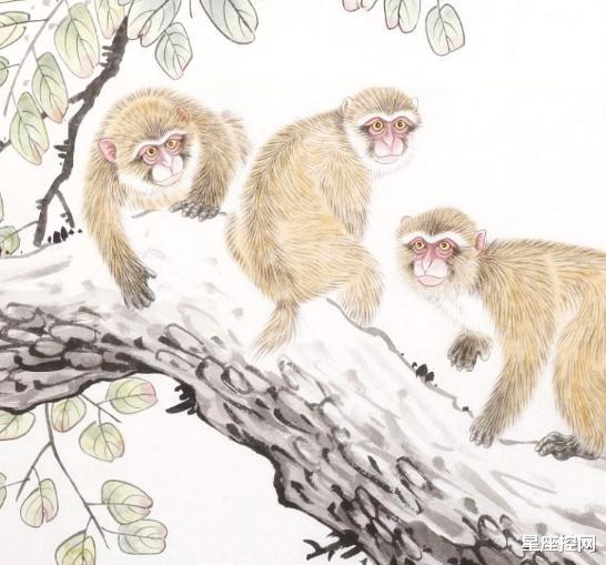 「生肖」5月下半部分，4生肖前一个贵人，后一回机遇，生意事业一红再红