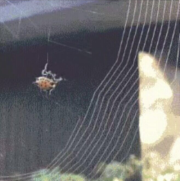 雨中女郎|18个你可能听过，但是未必见过的奇景！