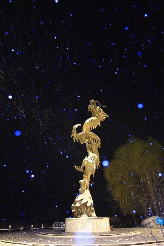 哈尔滨新闻网 道路结冰黄色预警发布|本世纪同期第2冷!入冬以来全省气候冷干,1月上旬尤其冷