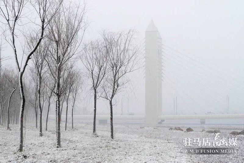 昨天正阳大雪刚拍的照片，太美了！
