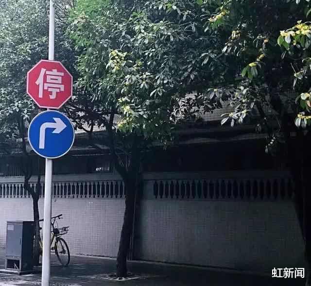 虹新闻|成都300年桂花巷树木突然\＂秃头\＂，居民心痛发声：太造孽喽