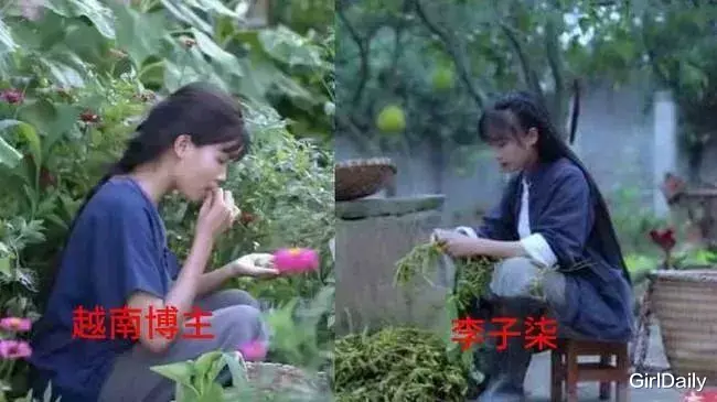 李子柒|李子柒被抄袭第400天:我花2年拍的视频,被你用5分钟占为己有