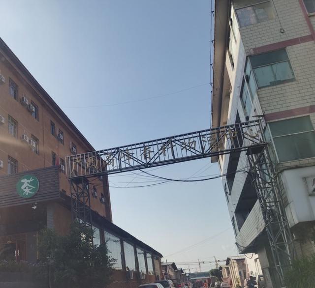 孔乙己|还记得孔乙己的茴香豆吗？这茴香现在不香了，因为它被完全熏坏了