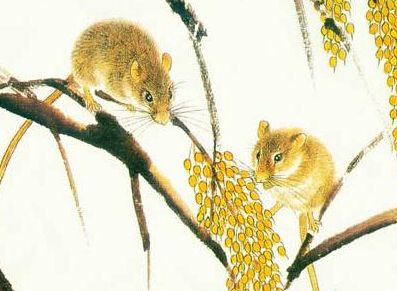 #生肖#婚后“劳碌不停”的3个生肖女，日子虽然苦，子女却有大出息！