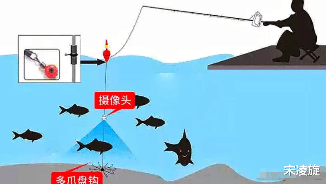 四川省|四川泸州男子锚8斤鲤鱼被判刑两个月,钓鱼人:锚鱼危害重大