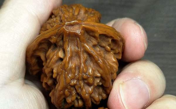 菩提：逼疯文玩人的十二个瞬间