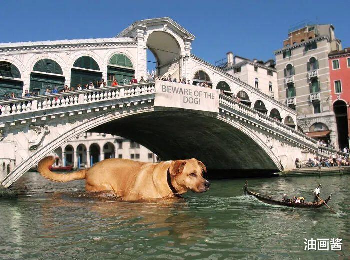 |巨型生物“入侵”城市,与环境十分契合,让人看不出PS的痕迹
