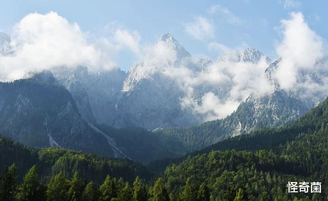 ：人类消失后，多久才会找不到存在过的痕迹？答案你不会想到