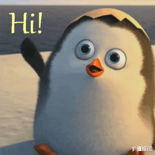 隐婚|放飞小仙女和前夫隐婚代孕生子的幕后大瓜！