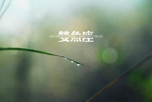 生肖|未来七天，旧情仍在，前缘难舍，有望与旧爱再续前缘的三星座