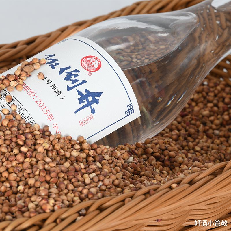 五粮液|10多元一瓶的“牛二”，跟2千多一瓶茅台五粮液，区别在哪里？