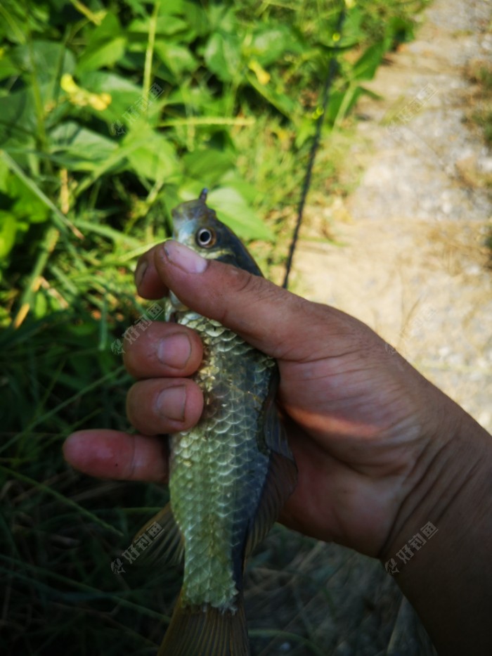 医生|许久末玩，甚是惨淡