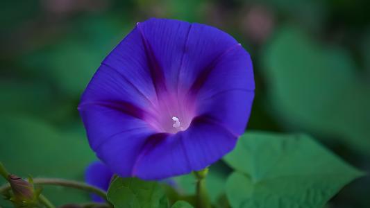 运势|11月中上旬易发大财，攀登财富巅峰，横财唾手可得3生肖