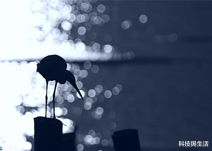 [科学家]时间是真实存在还是虚拟的？科学家亲自试验，找到了答案！