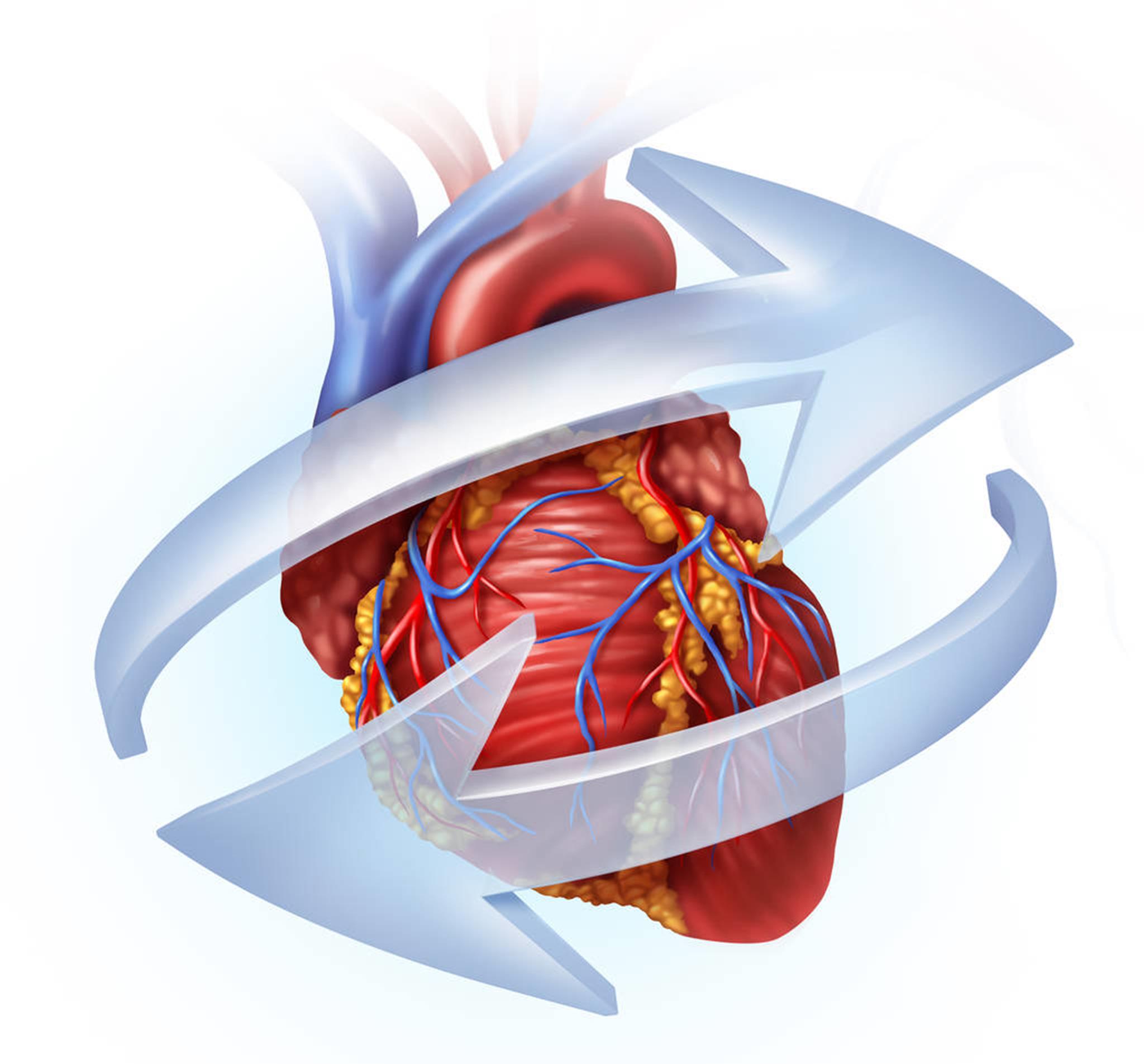 「睡眠」有3种表现，最好检查一下心脏，心脏不好，少碰2黄，谨记3事