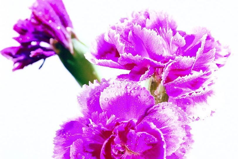 生肖|心思细腻，待人体贴的星座女，懂得换位思考，遇到了别错过