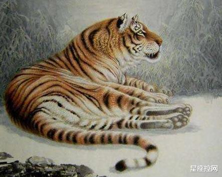 生肖|12月份有喜神缠身的三大生肖，做事顺，没烦恼，好运持续一整年