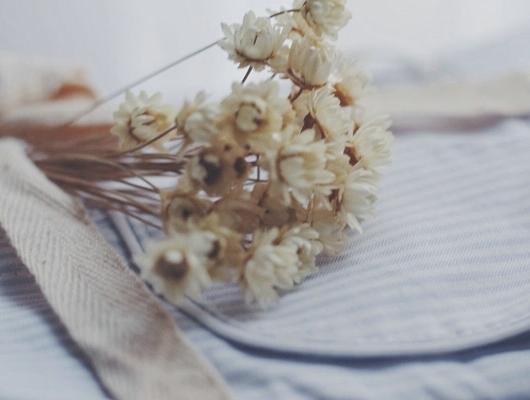 万事如意|8月，迎来黄金雨，事业枯木生芽，4生肖万事如意心情好，丰衣足食