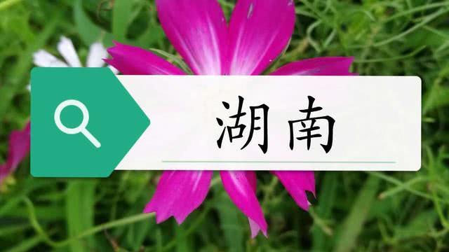 @全国钓鱼人最多的十大省份。你的家乡排第几？