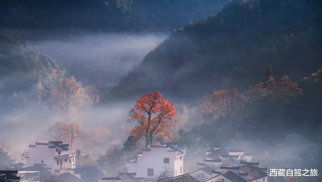 自驾|秋天最美的8条自驾路线！9月10月美成天堂，错过就要再等一年！