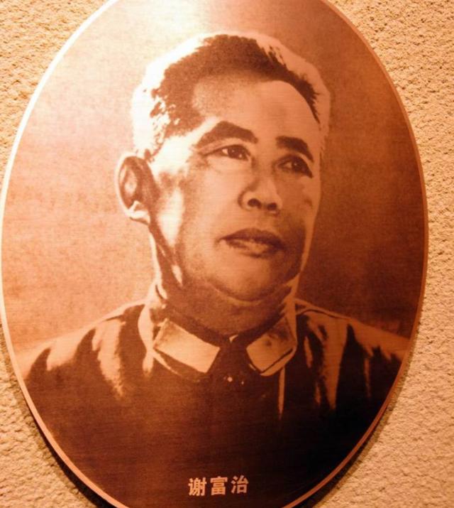 开除党籍|开国上将逝世8年被开除党籍，妻是部长，女婿是上将，儿子成富豪