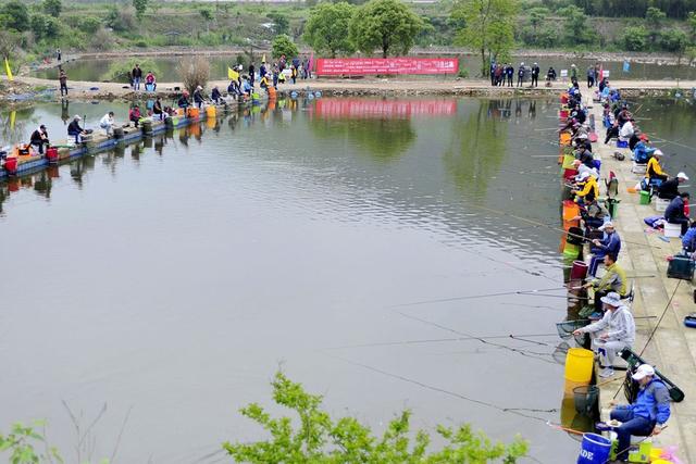 |黑坑作钓，经常跑鱼为哪般？三个方面帮你规避此类风险！