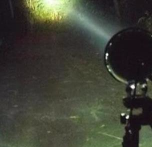 「雄黄酒」夜钓怎么才能不怕蛇咬?