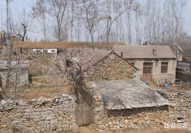 『宅基地』宅基地自愿退出，一亩最高补30万！你家要退吗？考虑好再做决定！