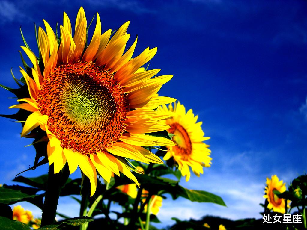 [生肖]6月22号起有贵人领路，隔3差五走好运，日子有喜有财的属相生肖