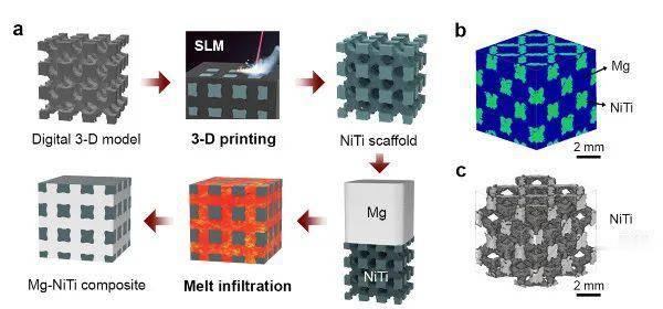 「科学家」前沿科技 | 中科院等科学家合作研发出高阻尼、高吸能与形状记忆兼得的镁基仿生材料
