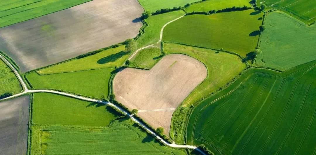 【运势】4月25号福临门，4月26号不得了，4生肖财气十足，2020年惹不起