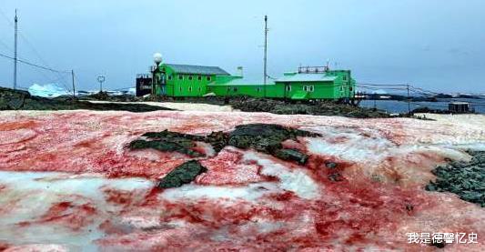 「南极洲」南极传来坏消息?南极出现“血雪”,全世界担心的事情已经发生