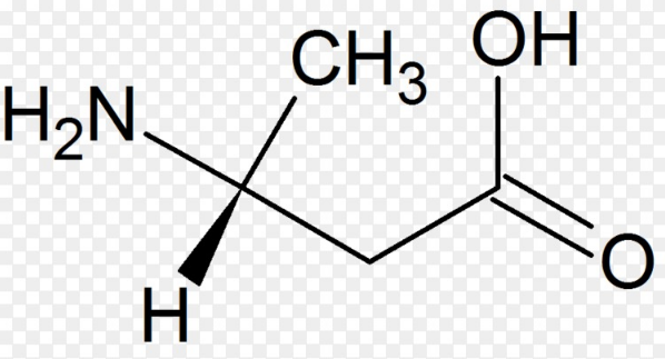 「蛋白质」「增肌难」最良心的增肌补剂科普不含任何广告!