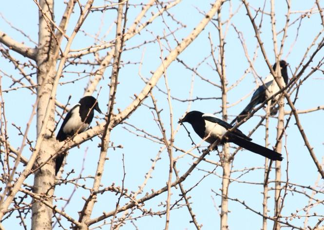 生肖■6月22号,睡着能笑醒!3生肖不得了,天上掉财、地上生金,大富大贵躲不掉