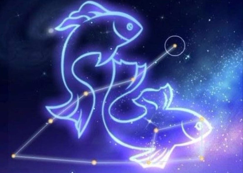 狮子座|11月下旬，三星座福星高照，事业转运，咸鱼翻身，爱情如约而至