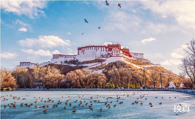 映真|一个六根不净的僧人，白日诵经是雪域的王，夜晚流浪是最美的情郎