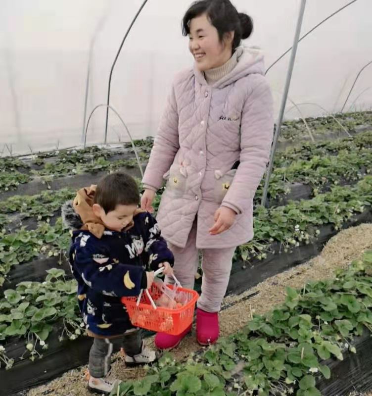 时代报告 河南杞县：潘青霞的“莓”好新生活