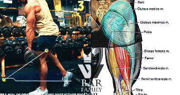 深蹲|男生行不行...看腿就知道了！