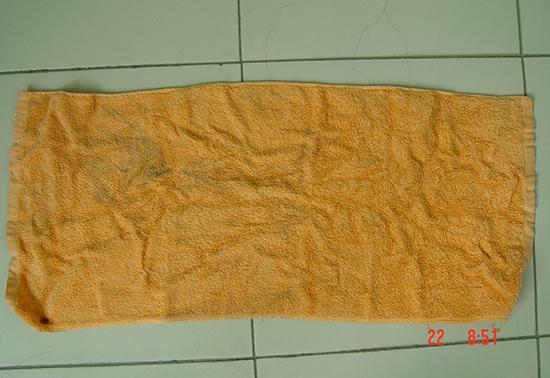 中国长安网|两起陈年命案，凶手“人间蒸发”，他们一追再追，终于……