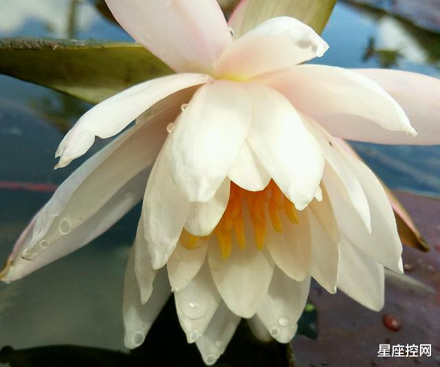 「」哪些月份出生的人，去年愁眉不展，今年扬眉吐气，钱多事少