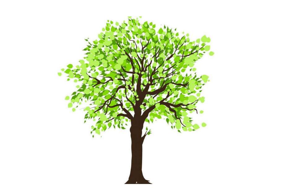 宠物火化后，宠物骨灰的安葬方式