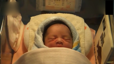 新墨西哥|为什么?“猫交配时叫声凄惨”人类与猫科动物,有何不同?