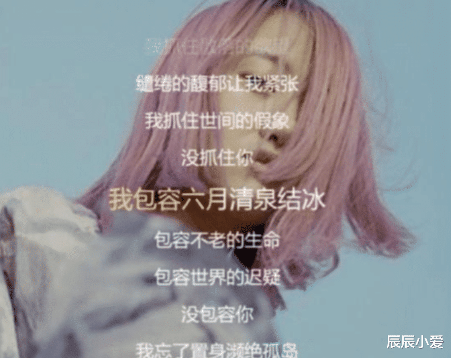 |她是乐坛最特殊的歌手，不签公司不雇经纪人，却红得一塌糊涂