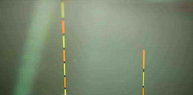 饵料|夏季钓鱼，面对小鱼大军的攻城略地，为何有些钓友输得很惨？